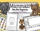 Mammals for the Beginning Reader by Miss Hellen's Hippos | TpT