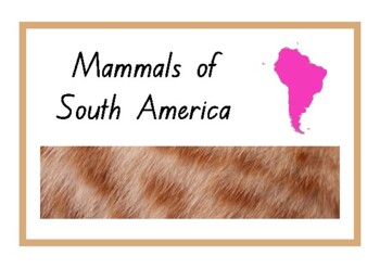 Preview of Animals of South America - Mammals