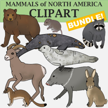 Preview of Mammals of North America - Mammal Clip art Bundle