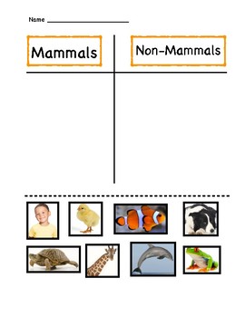 Mammals vs. Non-Mammals Sort by Get DEPArty Started | TPT