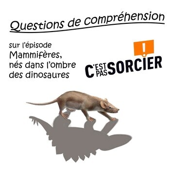 Preview of Mammifères, nés dans l'ombre des dinosaures