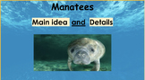 Manatees Article - Main Idea & Details 