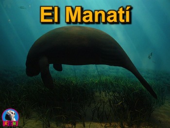 Preview of El Manatí - Presentación en PowerPoint y Actividades