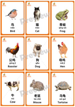Mandarin Chinese Animals Flashcards by Mandarin Homeschool | TpT