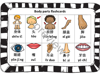 Preview of Mandarin Chinese Body Parts set I bundle package 身体部位I游戏集合