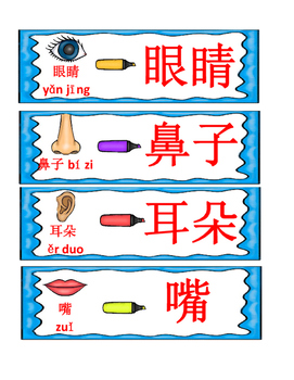 Mandarin Chinese Body Parts Words Writing With Different Materials 自制身体部位汉字
