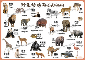 Bilingual Educational Poster - Wild Animals (Simplified Chinese/English)