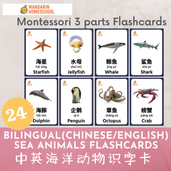 Preview of Montessori Chinese/English Sea Animals Flashcards (Simplified Chinese)
