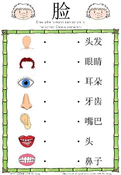 Mandarin Chinese Worksheets 脸/parts of the face by Little Blue Orange