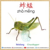 Mandarin Flashcard-03