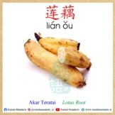 Mandarin Flashcard-05