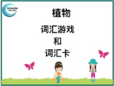 Chinese_Plants: Vocabulary Games and Word Wall Cards