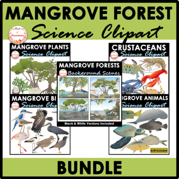 Mangrove Forests and Wetland Clipart Bundle | Trees Crustaceans Fish Birds