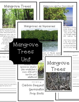 Preview of Mangrove Trees Unit