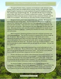 Mangroves: Informational Text, Vocabulary Challenge, & Tre