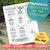 Mangroves - Protectors of the shoreline! Root types, facts