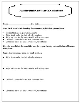 Preview of Mannequin Color Block Activity