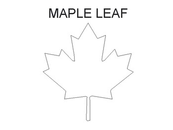 Preview of Maple Leaf Printable , Template Maple Leaf Coloring Sheet