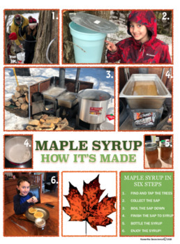 Preview of Spring Maple Syrup: How it's Made (Lesson and Activity Sheets for K-8)