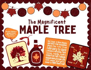Preview of Maple Tree Bulletin Board | Science, Nature, Educational Classroom Board Ideas