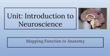 Preview of Mapping Nervous System Functions to Anatomy - Introduction to Neuroscience