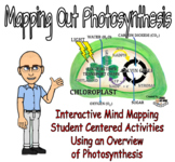 Mapping Out Photosynthesis - Mind Mapping an Overview of Photosynthesis