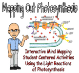 Mapping Out Photosynthesis - Mind Mapping & the Light Reactions