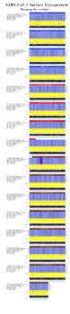 Preview of Mapping the Coronavirus Variants Vertical Banner