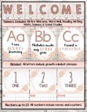 Marble Rose Classroom Theme (Rose Gold / Pink)