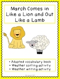 March Comes in Like a Lion Adapted Book/ Sorting