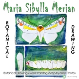 Maria Sibylla Merian:  Botanical Drawing Art Project for Kids