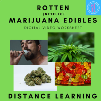 Preview of Marijuana Edibles Video Worksheet Rotten Series On Netflix 