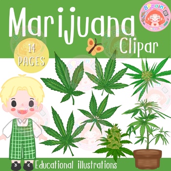 Preview of Marijuana clipart for education