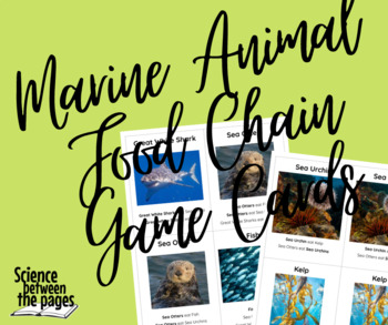 Marine Animal Food Chain Game Cards by Science Between the Pages