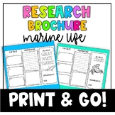 Marine Animal Research Brochures (Print & Go!) (Great for 