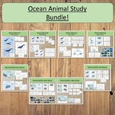 Marine Animal Study Ocean Study Bundle Montessori