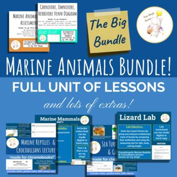 Preview of Marine Animals UNIT- Marine Science Lessons, Notes, & more!- THE BIG BUNDLE