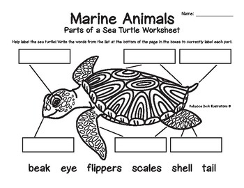 Marine Animals - Structure Labeling Worksheets by Rebecca Burk ...