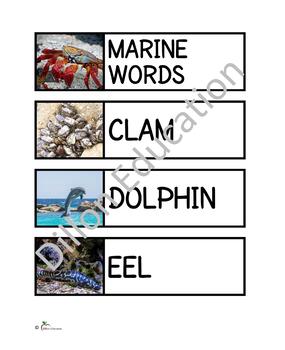 Preview of Marine Animals Unit