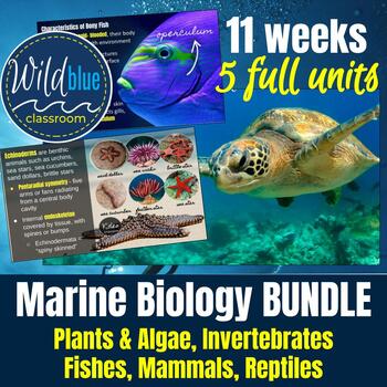 Preview of Marine Biology | 5 unit BUNDLE | Plants | Invertebrates | Fish | Mammals