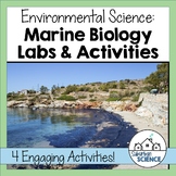 Marine Biology Activities: Ocean Pollution and Oil Spills,