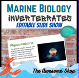 Marine Biology Aquatic Invertebrate Editable Slide Show Oc