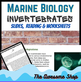 Marine Biology Aquatic Invertebrates Bundle With Slides, R