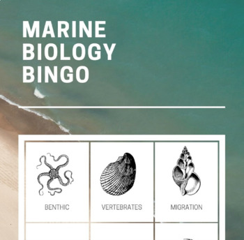 Preview of Marine Biology Bingo