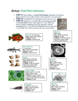 Preview of Marine Biology Food Web Laboratory