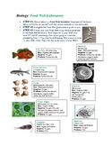 Marine Biology Food Web Laboratory