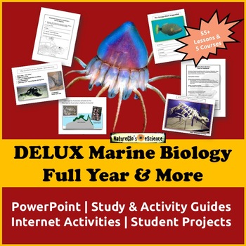 Preview of Marine Biology Full Year Curriculum | PowerPoint and Study Guide BUNDLE