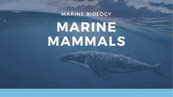 Preview of Marine Biology: Marine Mammals Presentation - *EDITABLE*