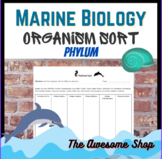 Marine Biology Phylum Ocean Organism Sort Worksheet