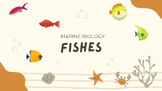 Marine Biology Presentation: Bony Fish Biology - *EDITABLE*